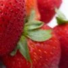 Mara Des Bois Strawberry Plants 2 Mara Des Bois Strawberry Plants -Plant Seeds Store FRU0006 2