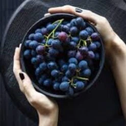 'Vanessa' Seedless Outdoor Grape Vine 7 'Vanessa' Seedless Outdoor Grape Vine -Plant Seeds Store FRU0063 2