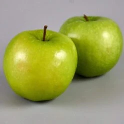 Granny Smith Apple Tree -Plant Seeds Store FRU0227 3