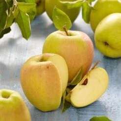 Golden Delicious Apple Tree -Plant Seeds Store FRU0229 2